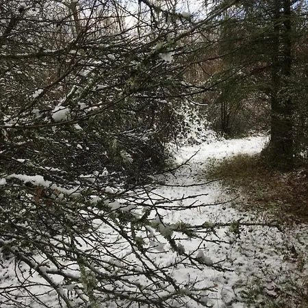 Chez Odile 3* Mirabel (Tarn-et-Garonne)