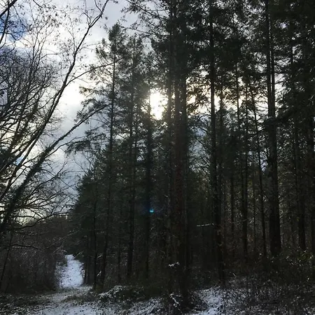 Chez Odile 3* Mirabel (Tarn-et-Garonne)